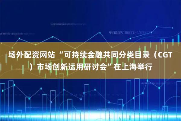 场外配资网站 “可持续金融共同分类目录（CGT）市场创新运用研讨会”在上海举行