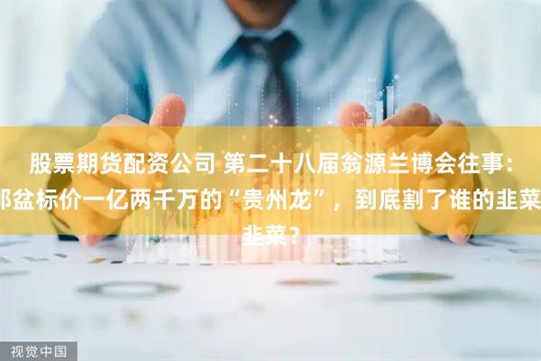 股票期货配资公司 第二十八届翁源兰博会往事：那盆标价一亿两千万的“贵州龙”，到底割了谁的韭菜？